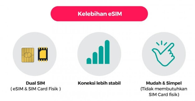 Keunggulan dan Kelebihan dari ESIM