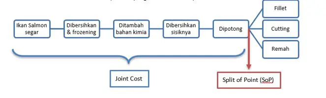 urutan produksi sudut pandang Joint Cost dalam joint product dan by-product